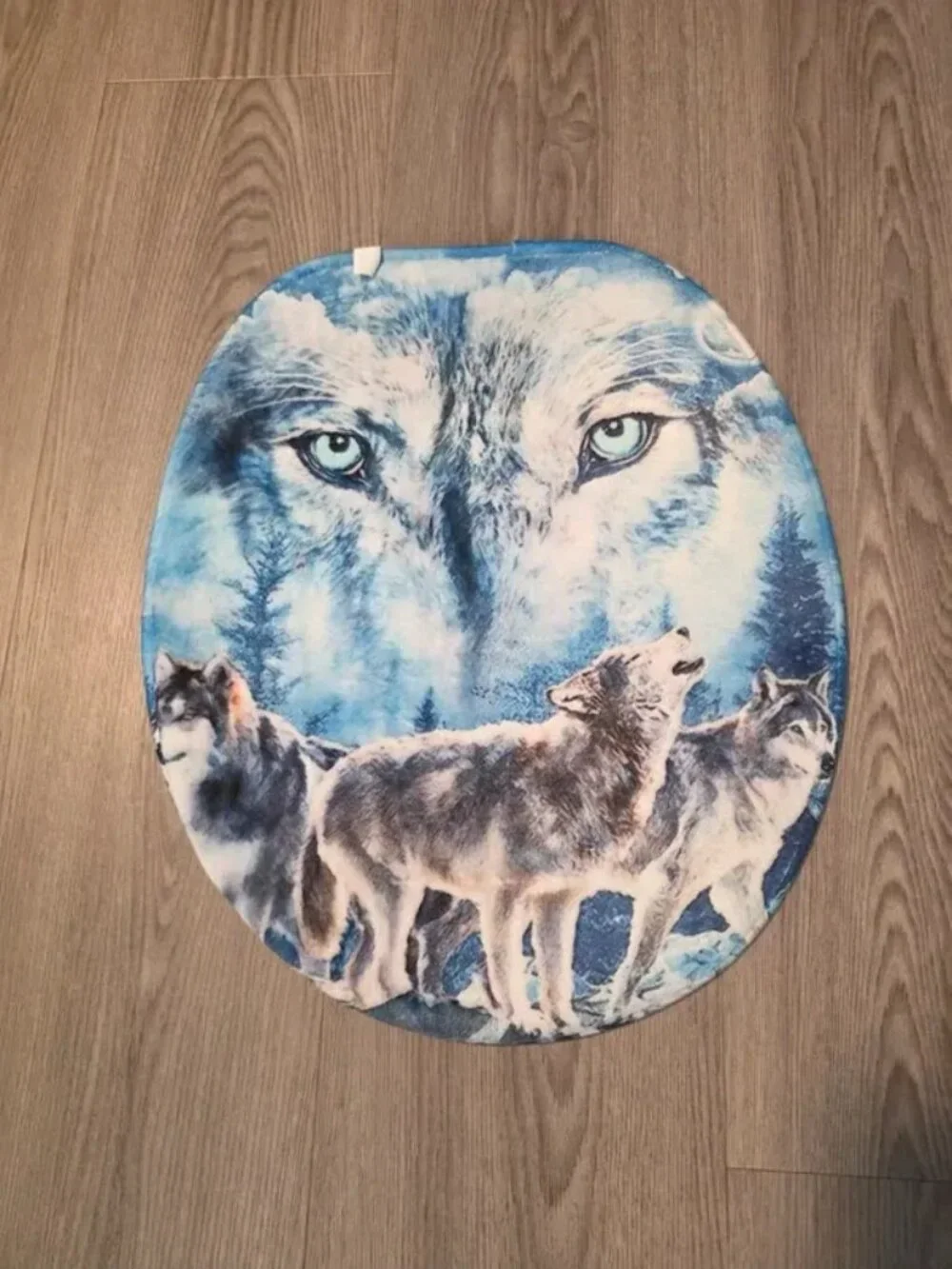 Toilet seat cover and shower curtain